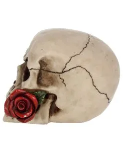 Beiger Totenschädel Mit Roter Rose 15cm 10 Beiger Totenschädel Mit Roter Rose 15cm -Halloween Tischdekoration Geschaft beiger totenkopf mit roter rose beiger totenschaedel mit roter rose antic skull with red rose 53389 03