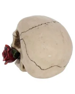 Beiger Totenschädel Mit Roter Rose 15cm 11 Beiger Totenschädel Mit Roter Rose 15cm -Halloween Tischdekoration Geschaft beiger totenkopf mit roter rose beiger totenschaedel mit roter rose antic skull with red rose 53389 04