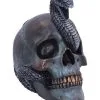 Schuppige Schlange In Totenkopf 19cm -Halloween Tischdekoration Geschaft das schicksal der schlange gothic schaedel 19cm serpentine fate gothic snake skull gothic deko totenkopf 53993