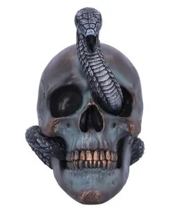 Schuppige Schlange In Totenkopf 19cm -Halloween Tischdekoration Geschaft das schicksal der schlange gothic schaedel 19cm serpentine fate gothic snake skull gothic deko totenkopf 53993 2