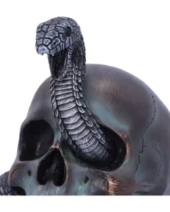 Schuppige Schlange In Totenkopf 19cm -Halloween Tischdekoration Geschaft das schicksal der schlange gothic schaedel 19cm serpentine fate gothic snake skull gothic deko totenkopf 53993 5