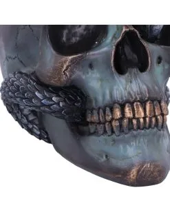 Schuppige Schlange In Totenkopf 19cm -Halloween Tischdekoration Geschaft das schicksal der schlange gothic schaedel 19cm serpentine fate gothic snake skull gothic deko totenkopf 53993 6