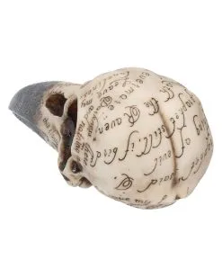 Edgar´s Raben Totenschädel 9 Edgar´s Raben Totenschädel -Halloween Tischdekoration Geschaft edgars raben skelettschaedel edgars raben totenschaedel edgars raven skull 39198 04