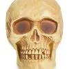 Halloween Antik-Totenschädel 1 Halloween Antik-Totenschädel -Halloween Tischdekoration Geschaft glaenzender totenkopf skull item totenschaedel equipment realistischer totenkopf 21250