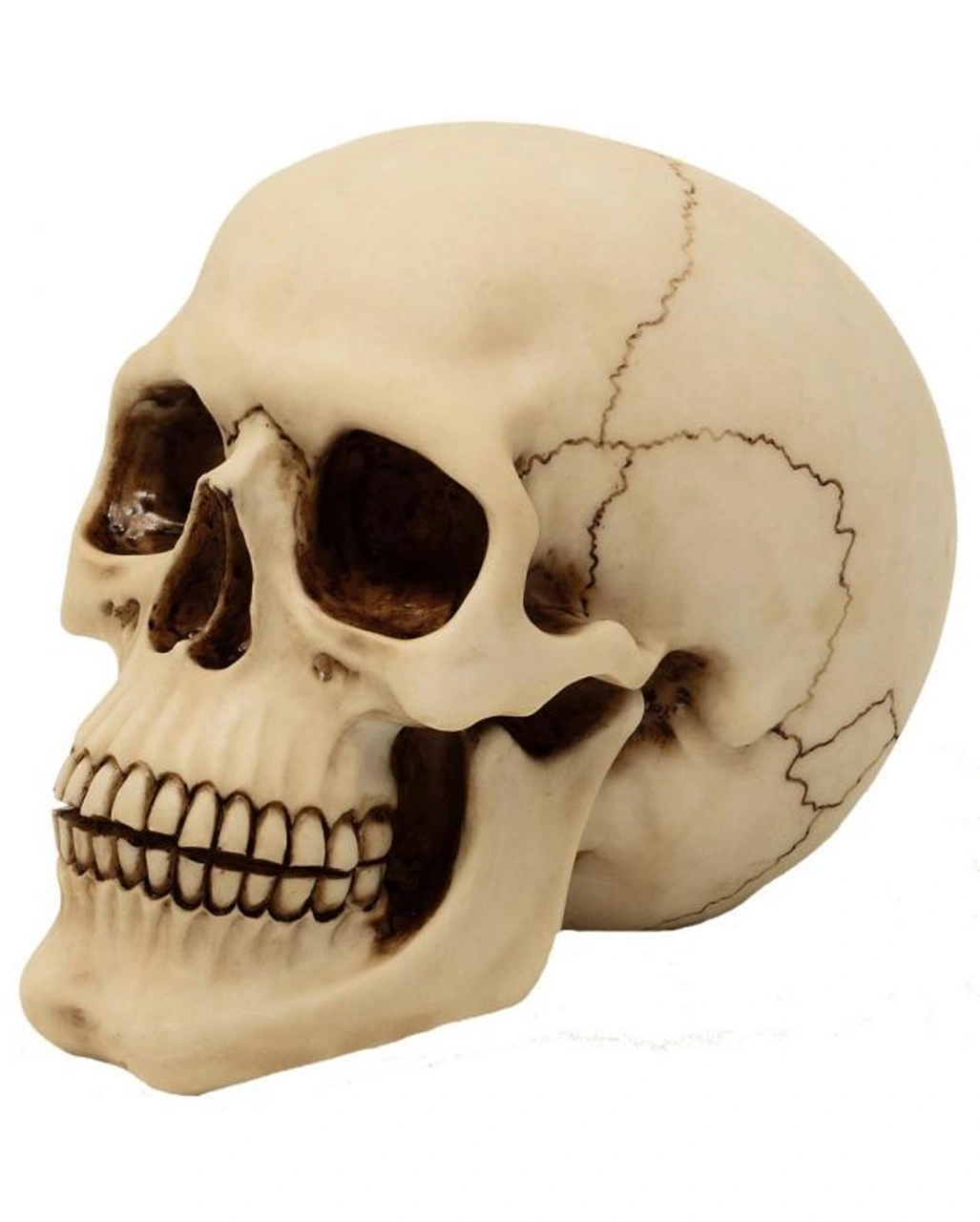 Graveyard Totenschädel Large 3 Graveyard Totenschädel Large