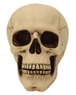 Graveyard Totenschädel Large 7 Graveyard Totenschädel Large -Halloween Tischdekoration Geschaft graveyard totenkopf large graveyard totenschaedel graveyard skull large gothic deko 52351 02