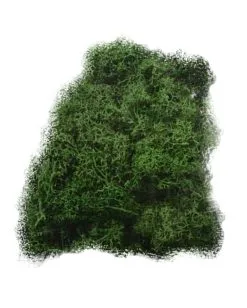 Halloween Deko Moos 50 G