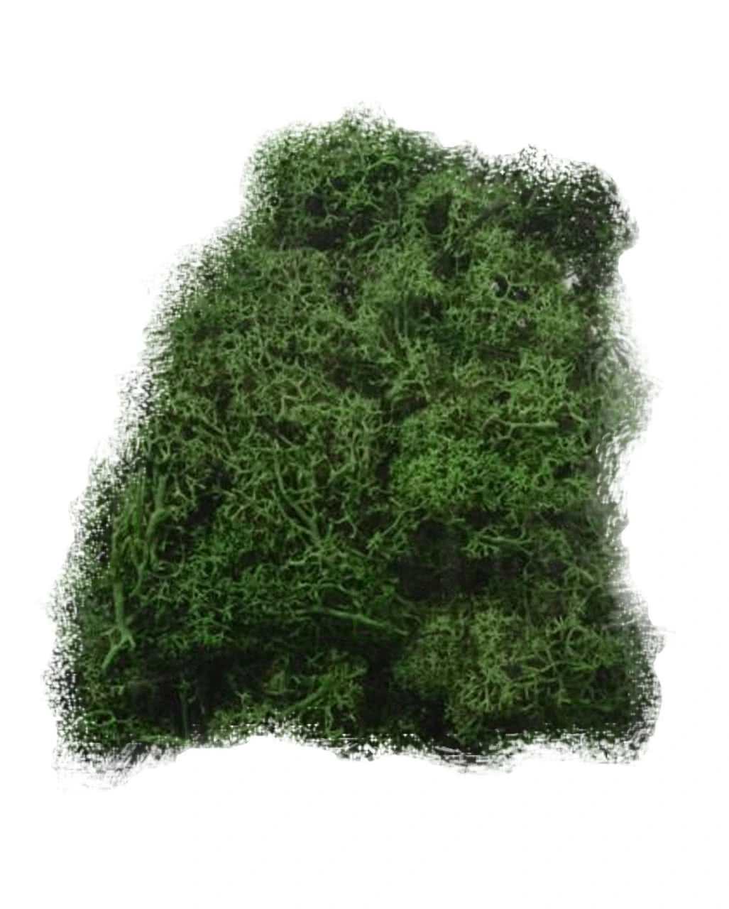 Halloween Deko Moos 50 G 3 Halloween Deko Moos 50 G