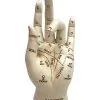 Wahrsage & Handlese Hand -Halloween Tischdekoration Geschaft handlese und wahrsage hand gothic deko halloween tischdekoration 50340 01