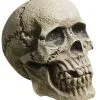 Verwitterter Skull Totenkopf