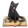 Schwarze Hexenkatze Mit Pentagramm -Halloween Tischdekoration Geschaft schwarze katze mit hexenbuch schwarze hexenkatze mit pentagramm witch cat eclipse 39250 01