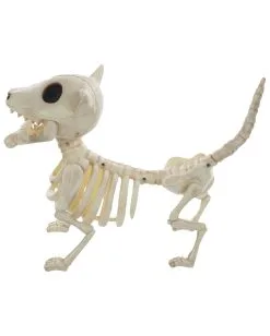 Hunde Skelett Mit Knochen 27cm -Halloween Tischdekoration Geschaft skelett hund mit knochen hunde skelett mit knochen skeleton dog with bone 52641 03