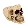 Realistische Totenschädel Schale Mit Offener Schädeldecke -Halloween Tischdekoration Geschaft totenschaedel schale mit offener schaedeldecke realistic skull mug morbide gothic deko halloween deko totenschaedel 39289