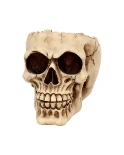 Realistische Totenschädel Schale Mit Offener Schädeldecke -Halloween Tischdekoration Geschaft totenschaedel schale mit offener schaedeldecke realistic skull mug morbide gothic deko halloween deko totenschaedel 39289 3