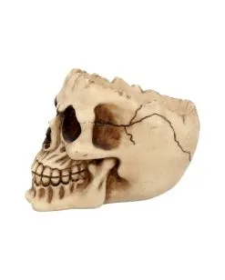 Realistische Totenschädel Schale Mit Offener Schädeldecke -Halloween Tischdekoration Geschaft totenschaedel schale mit offener schaedeldecke realistic skull mug morbide gothic deko halloween deko totenschaedel 39289 4