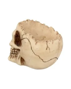 Realistische Totenschädel Schale Mit Offener Schädeldecke -Halloween Tischdekoration Geschaft totenschaedel schale mit offener schaedeldecke realistic skull mug morbide gothic deko halloween deko totenschaedel 39289 5