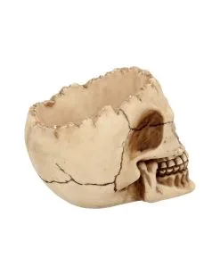 Realistische Totenschädel Schale Mit Offener Schädeldecke -Halloween Tischdekoration Geschaft totenschaedel schale mit offener schaedeldecke realistic skull mug morbide gothic deko halloween deko totenschaedel 39289 6