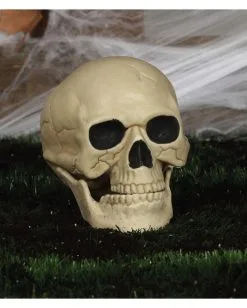 Wetterfester Totenschädel Mit Beweglichem Kiefer 20cm -Halloween Tischdekoration Geschaft wetterfester totenkopf mit beweglichem kiefer weatherproof skull with moveable jaw halloween totenschaedel 53405 04